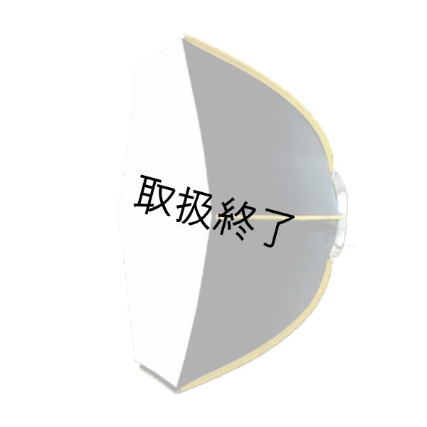 画像1: VISIONSMITH Xoft Studio Soft-Box for ReLamp 1K (1)