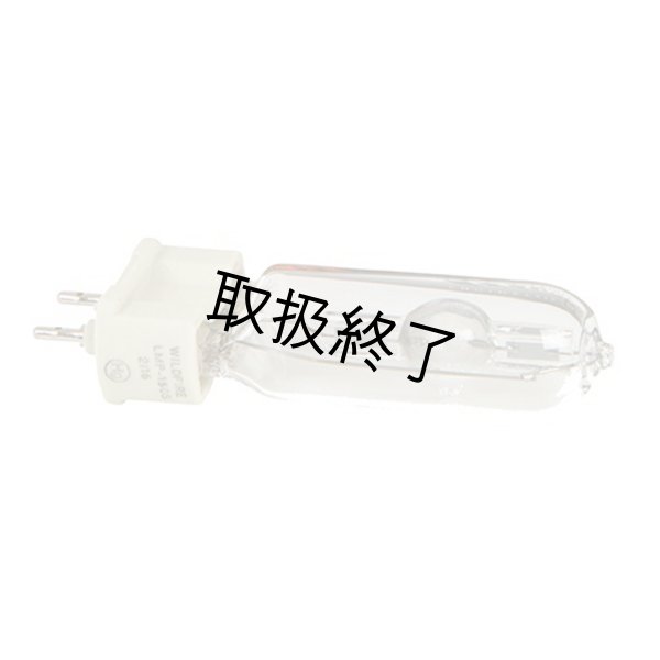 画像1: WildFire IronArc Metal Halide Lamp 150S (1)