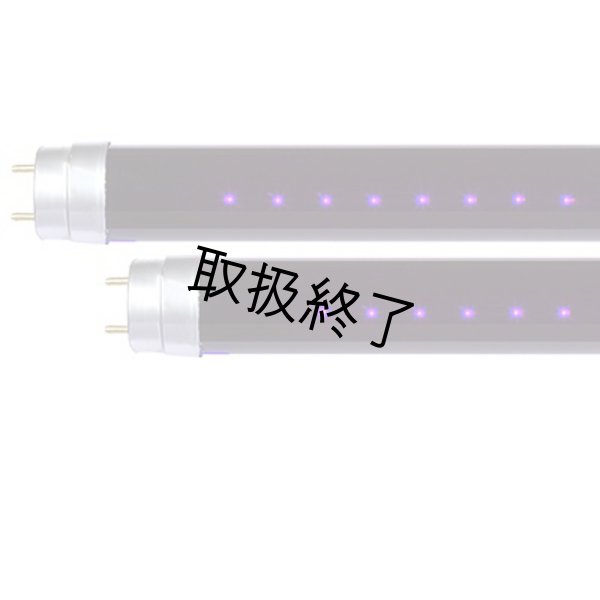 画像1: WildFire SableLED BLB Lamps (1)