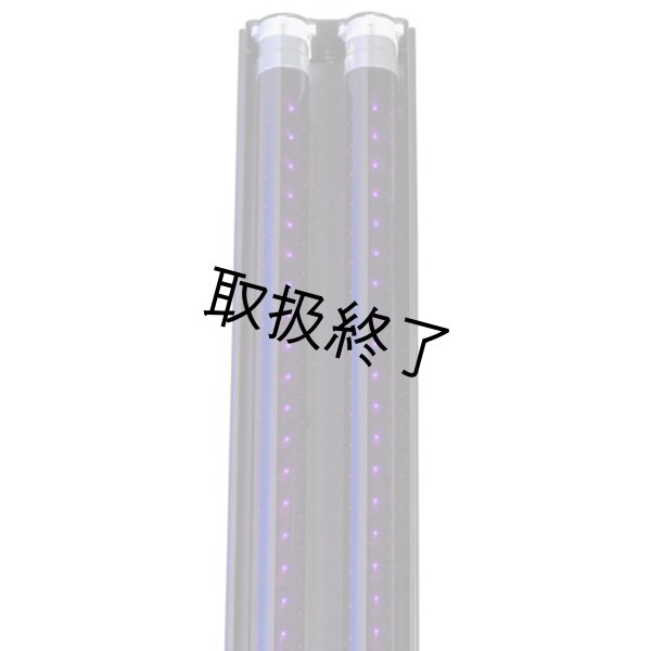 画像3: WildFire SableLED BLB Lamps (3)