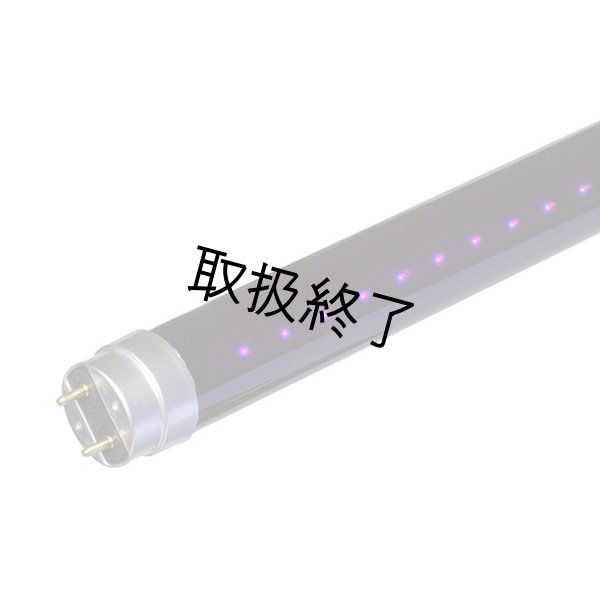 画像4: WildFire SableLED BLB Lamps (4)