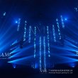 画像6: AML Lighting Vibrant 800W IP PIXEL MAPPING WASH（ヴィブラン 800W IP ピクセルマッピングウォッシュ） (6)