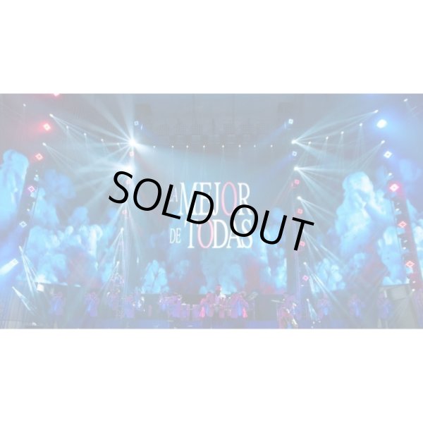 画像11: Chauvet Professional Rogue R2 Wash (11)