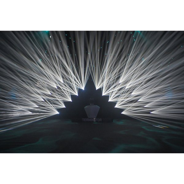 画像6: EK Pro BILLY THE KID（ビリー ザ キッド） (6)