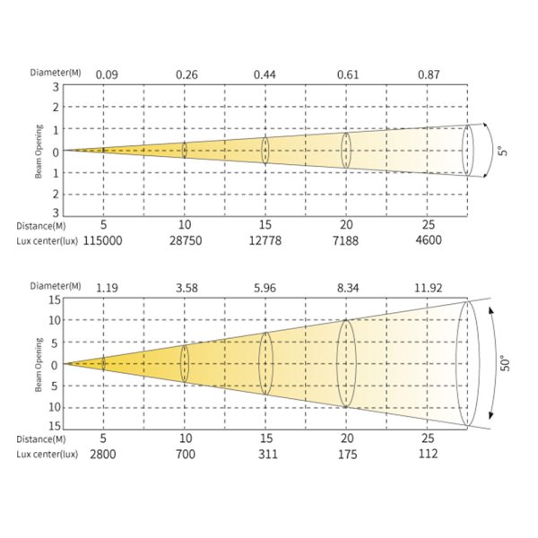 画像3: Silver Star T-10 (3)