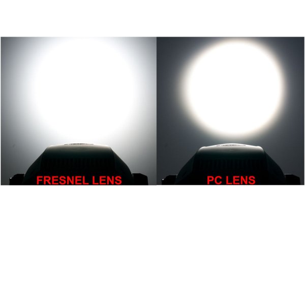 画像6: Elation Artiste Rembrandt（アーティスト レンブラント） (6)