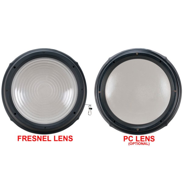 画像7: Elation Artiste Rembrandt（アーティスト レンブラント） (7)