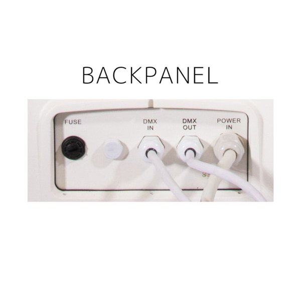 画像7: Elation PROTEUS MAXIMUS WMG（プロテウス マキシマムス WMG） (7)