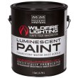 画像4: Wildfire Visible Luminescent Paint（可視ペイント）（ワイルドファイヤー） (4)