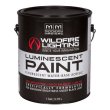 画像5: Wildfire Visible Luminescent Paint（可視ペイント）（ワイルドファイヤー） (5)