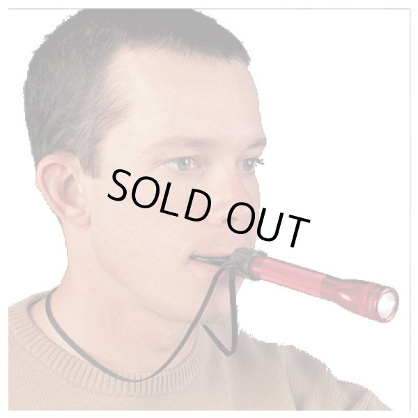 画像2: マグライト Bite A Lite (2)